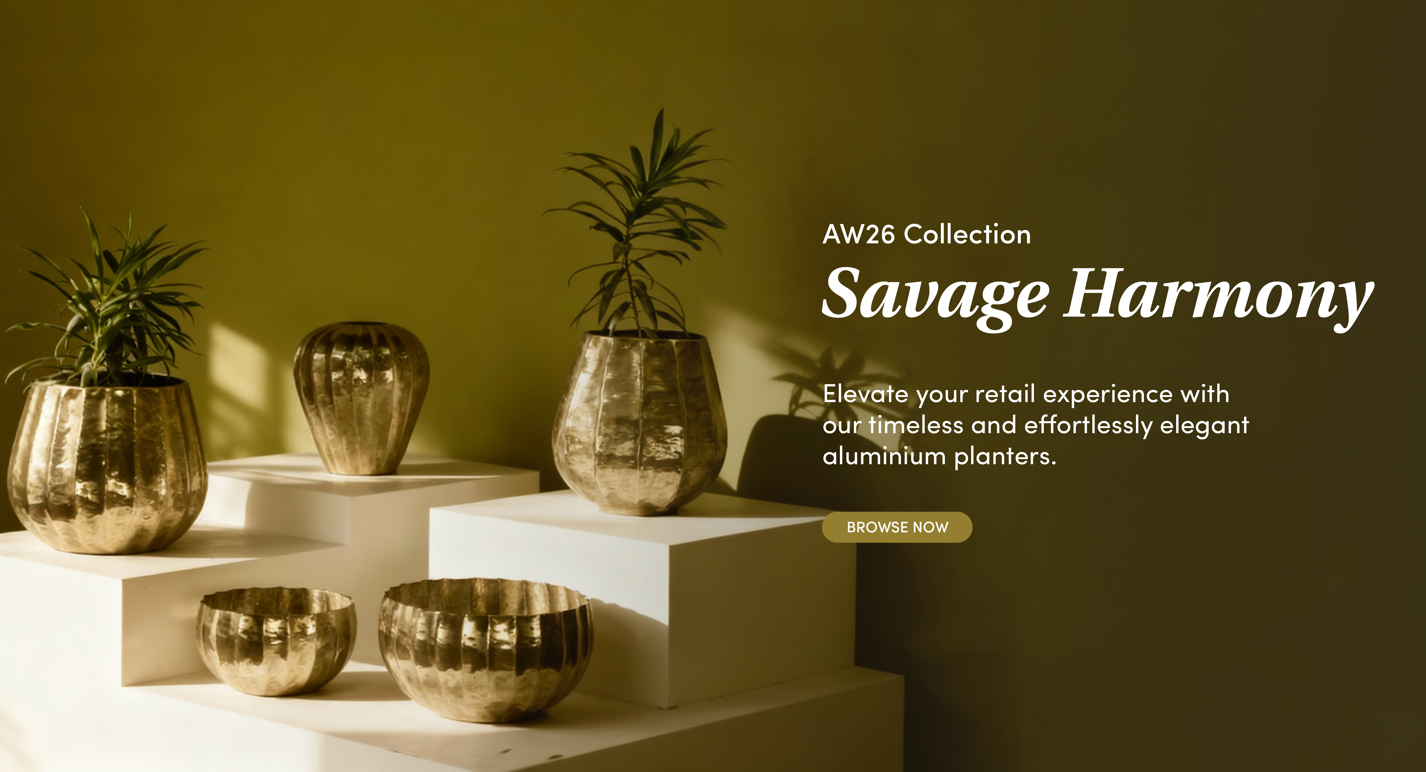 Collection Banner Desktop